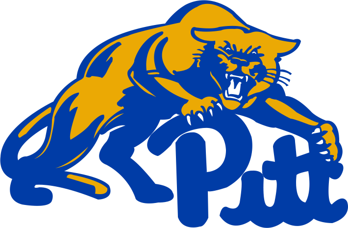 Pittsburgh Panthers 1994-1997 Secondary Logo v3 diy DTF decal sticker